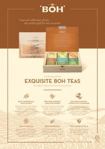 Best Selections of BOH Teas